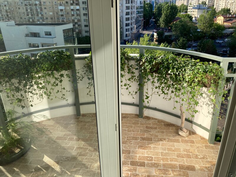 Timpuri Noi, Tineretului