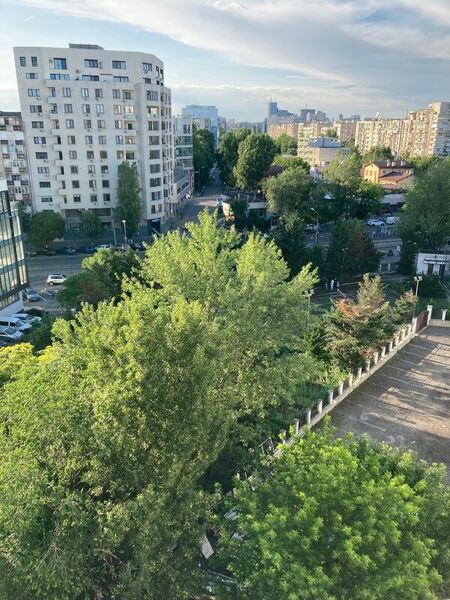 Timpuri Noi, Tineretului